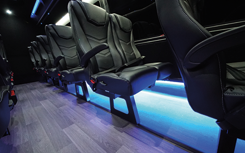 Berkshire Coach Lighted Walkway